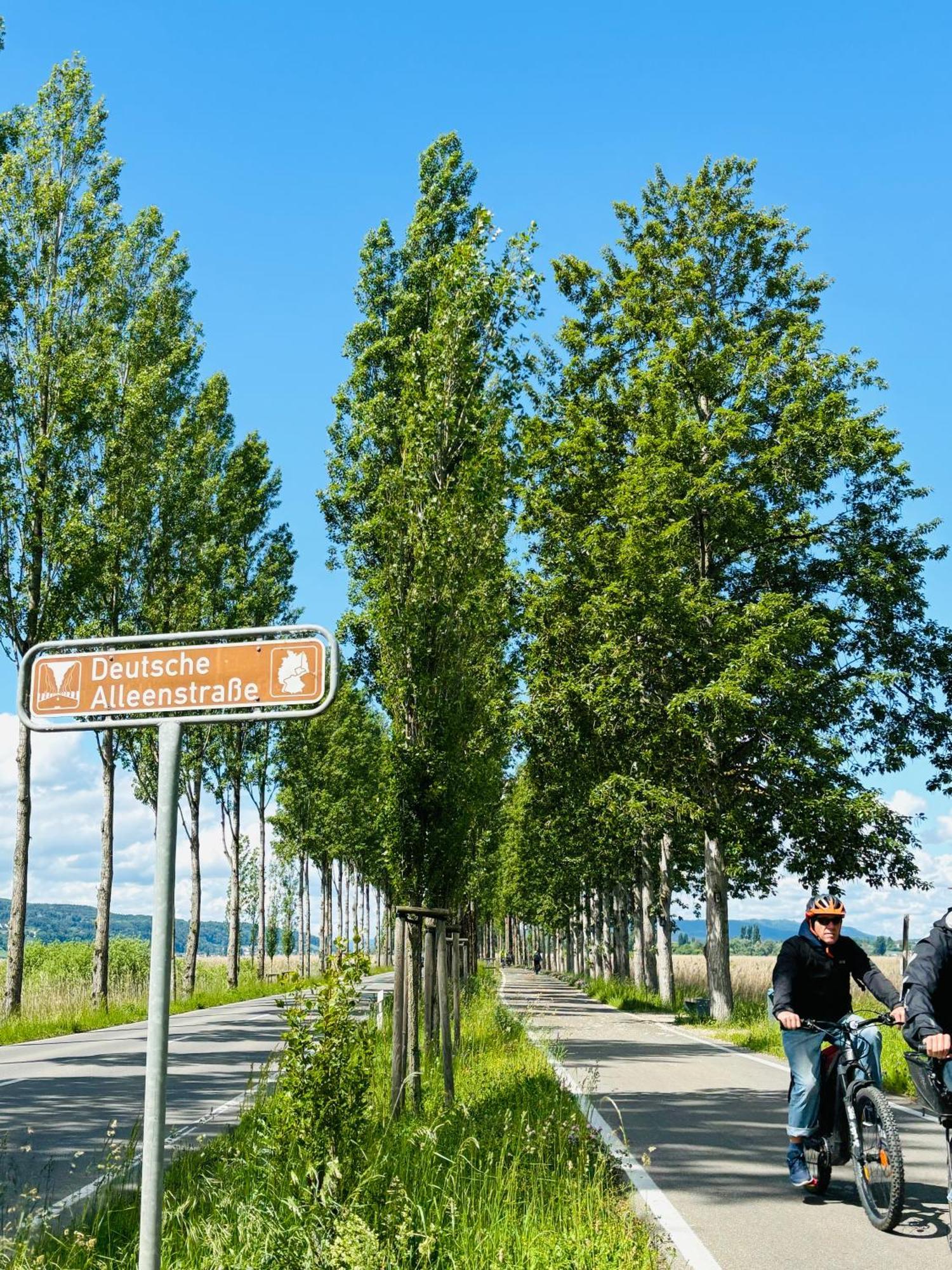Lake View 110Sqm In/Outdoor Living Entire Apartment With 2 Bedrooms Reichenau Exterior foto