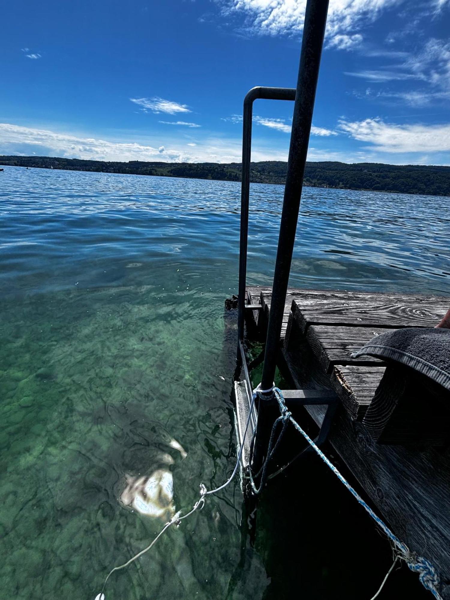 Lake View 110Sqm In/Outdoor Living Entire Apartment With 2 Bedrooms Reichenau Exterior foto